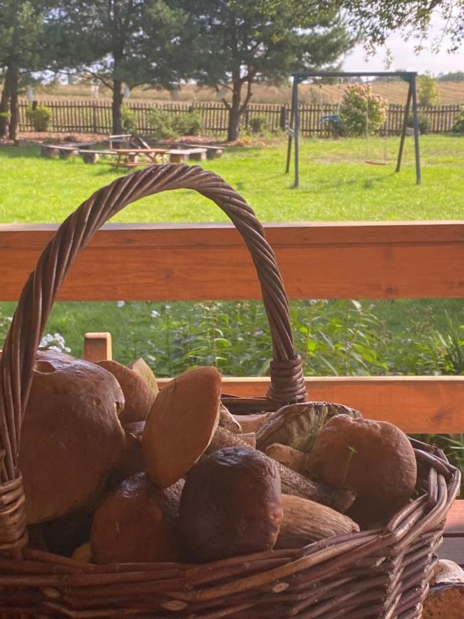Wakacyjny Dom W Sakach Villa Kleszczele Exterior foto