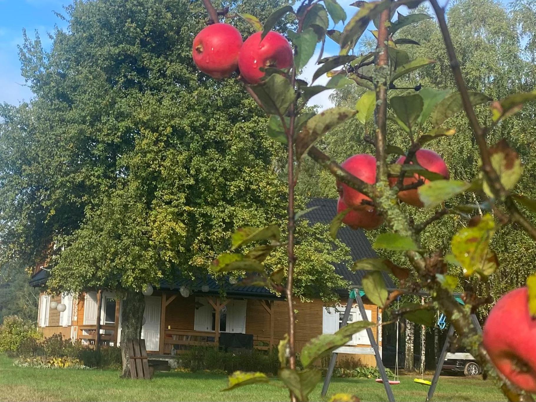 Wakacyjny Dom W Sakach Villa Kleszczele Exterior foto